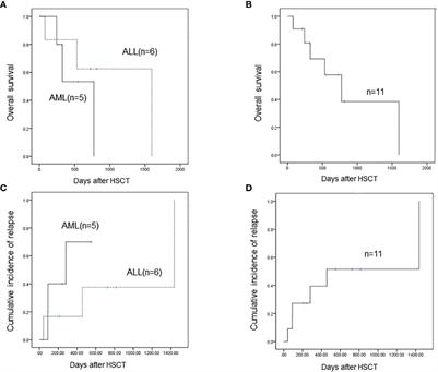 The outcome of acute leukemia patients with SET-NUP214 fusion after allogeneic stem cell transplantation